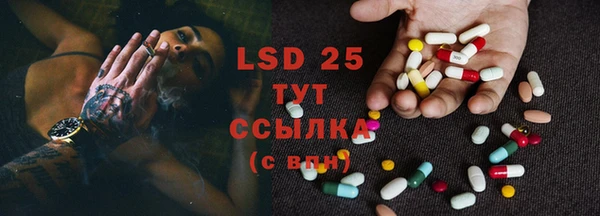 PSILOCYBIN Вязники