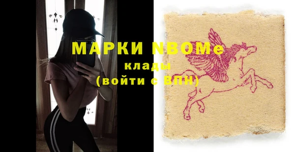 гашик Вяземский