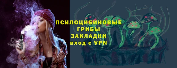 соль ск Вязьма