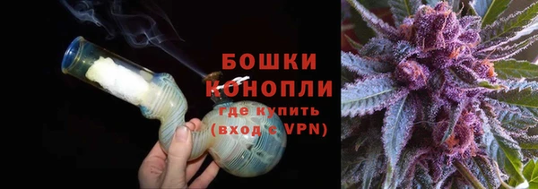 гашик Вяземский