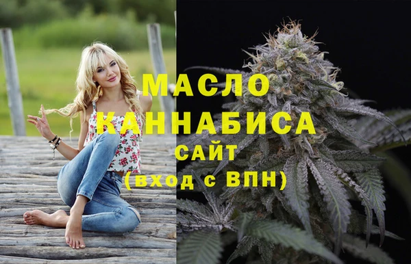 гашик Вяземский
