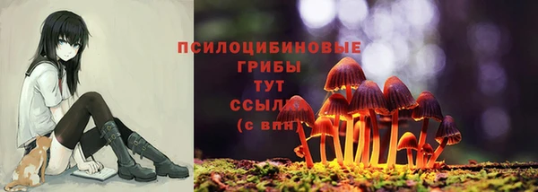 гашик Вяземский