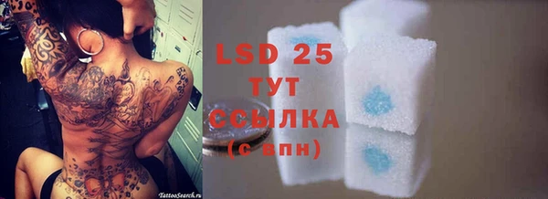 гашик Вяземский