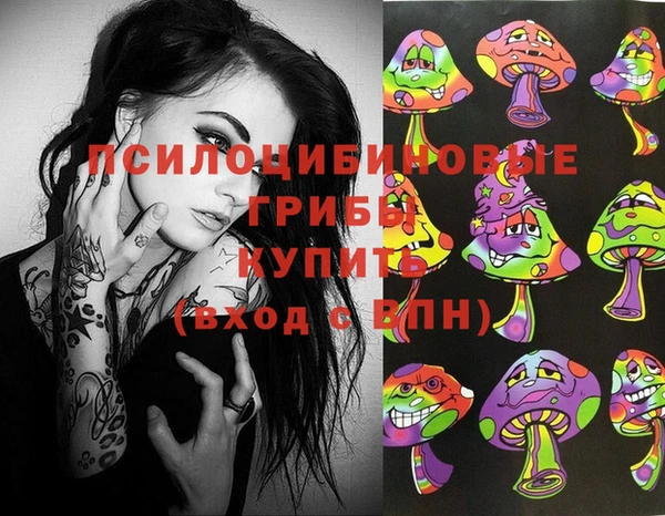 PSILOCYBIN Вязники