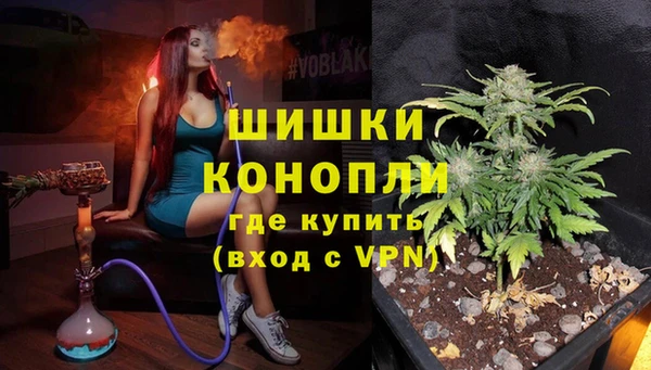 гашик Вяземский