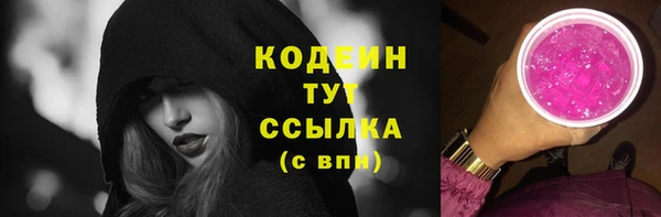 гашик Вяземский