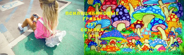 соль ск Вязьма