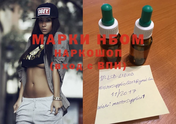 гашик Вяземский