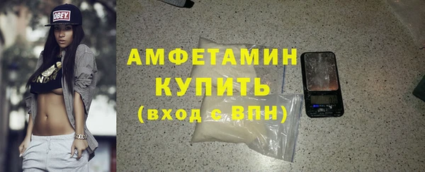 гашик Вяземский