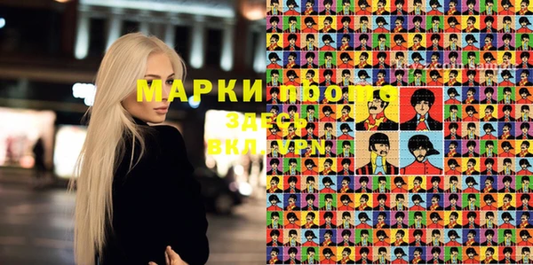 соль ск Вязьма