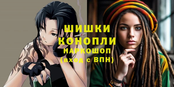 гашик Вяземский