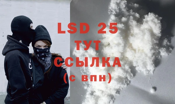 PSILOCYBIN Вязники