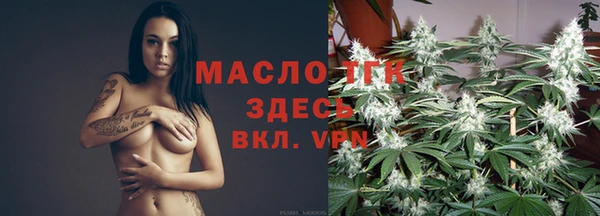гашик Вяземский